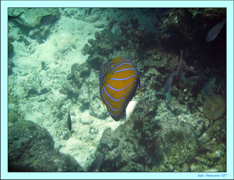 2011 - 03 - Koh Rok 21